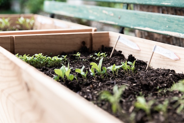 How to make a planter